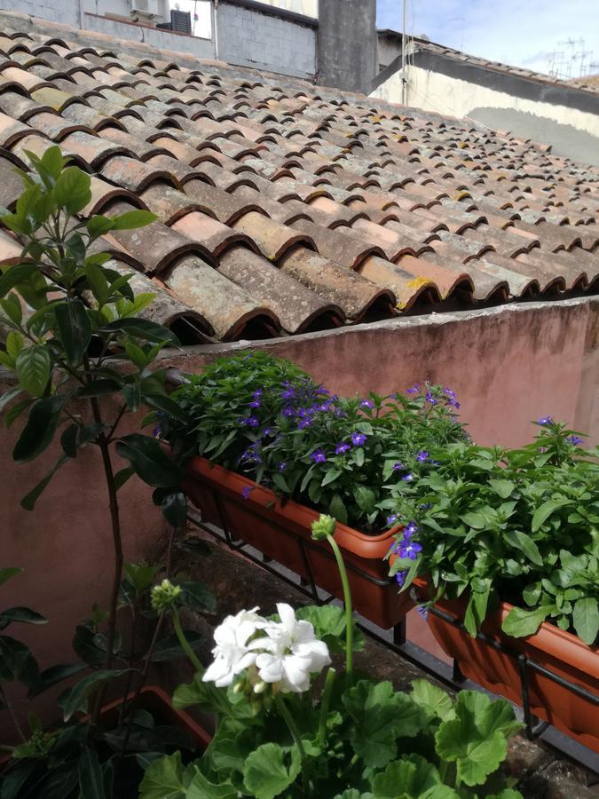 Altevolte Rooms Catania Bagian luar foto
